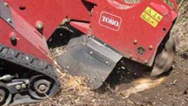 Caboolture Tree Stump Removal and Stump Grinding