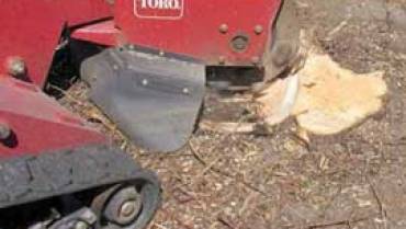 Bribie Island Tree Stump Removal and Stump Grinding