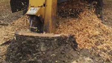 Ningi Tree Stump Removal and Stump Grinding